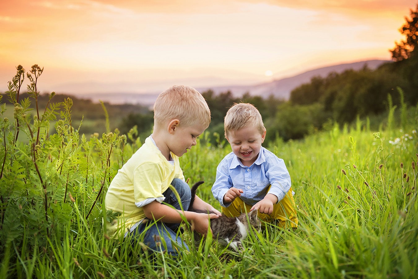 Two little boys playing with a kitten while outside during a beautiful sunset