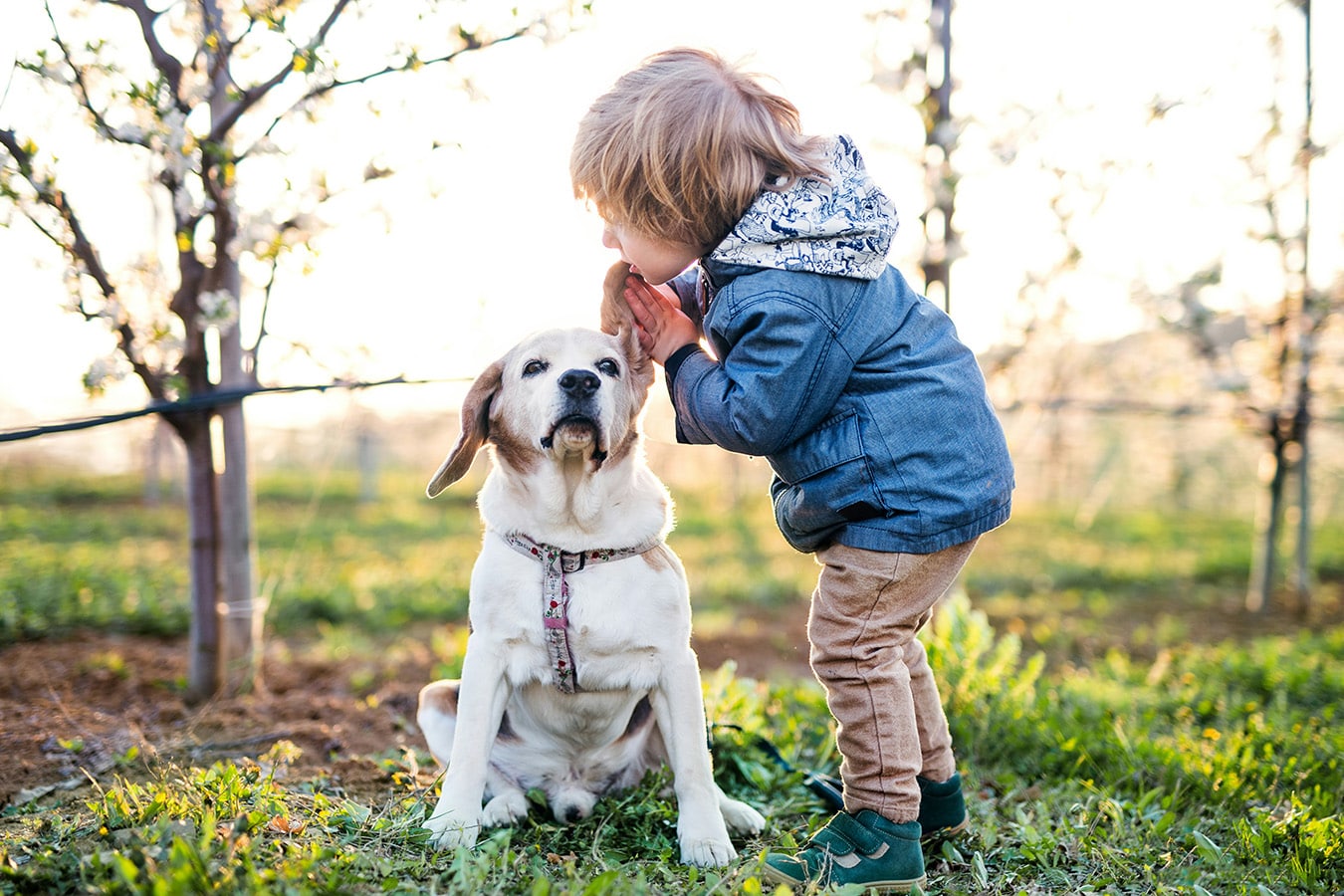 A little boy outside with his pet dog