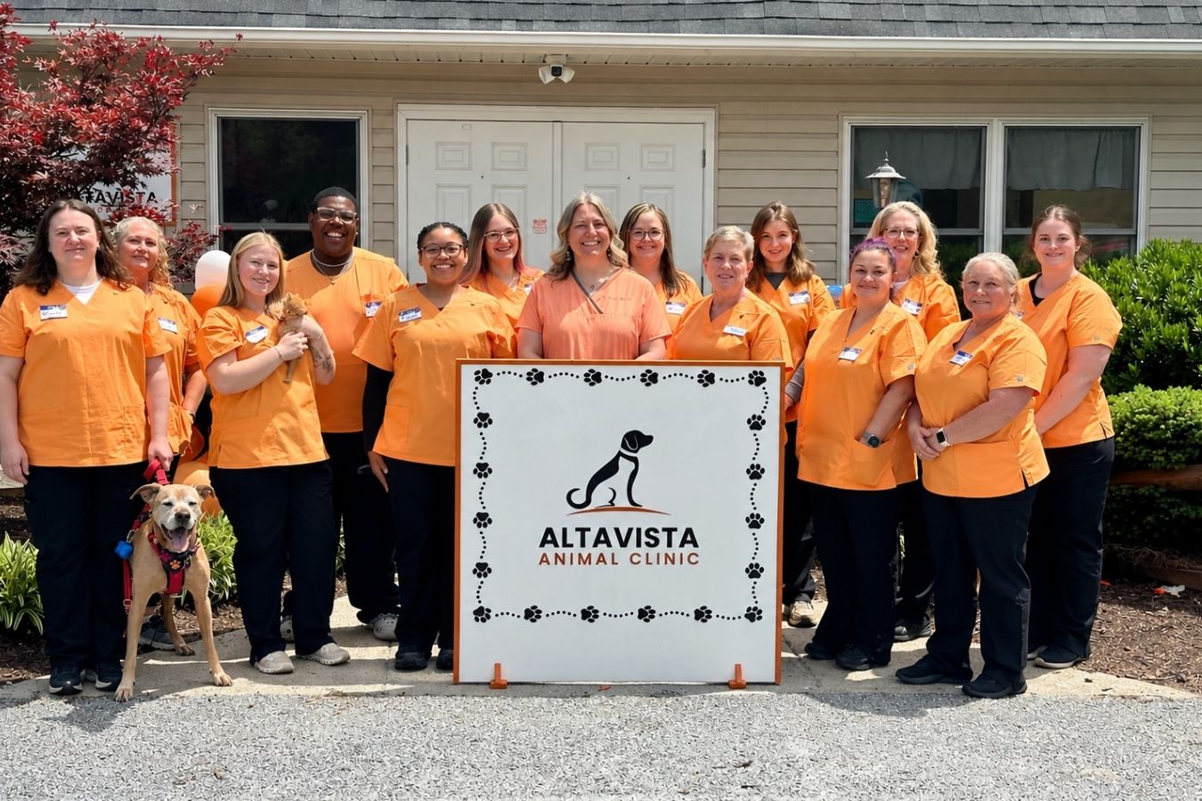 A group of staff in orange shirts pose in front of a building